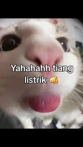#4u #masukberanda 