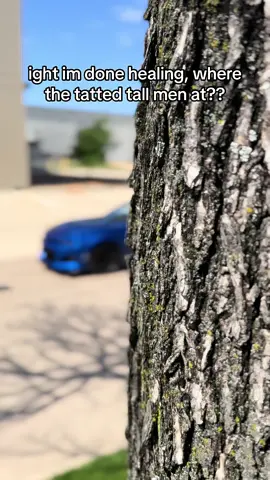 nah fr im a lover girl deep down #cargirl #car #fyp #zl1 #foryoupage #cars #carsoftiktok #tx2k 