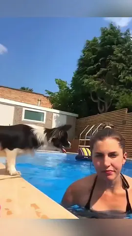 Funny animals  #pet #cat #dog #cute #animals #foryou #typ