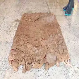 Cleaning The Nastiest Rug ! In Only 2 Minutes #satisfying#asmr#carpetcleaning #rugwashing#foryou#foryoupage#fyp#fypシ#tiktok#viral#cleaning#clean #CleanTok#vipvideo#fypage#4youpageシ#decompress#decompression #rugcleaning#cleaningasmr#cleaningasmrvideo#cleanwithmemotivation #satisfyingcleaning#rugtok#washing#restorations