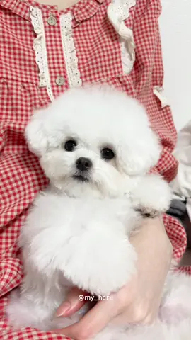 가볍게 몸풀기😋