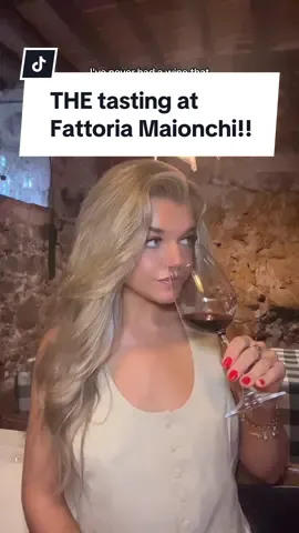 the only wine tasting you need to do on your trip to italy honestly!! #luccaitaly #daytripsfromflorence #winetouritaly #wineryitaly #winetouritaly #italytravel #florenceitalytravel #travelcreator #travelinfluencer  
