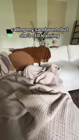 I think I summoned a smol sausage sandworm y’all 💀😭🤣 #dune #duneparttwo #sandworm #zendaya #timotheechalamet #fyp #fypシ #dachshund #dachshundsoftiktok #dachshundpuppy #dogsoftiktok #doglover #dogtok 