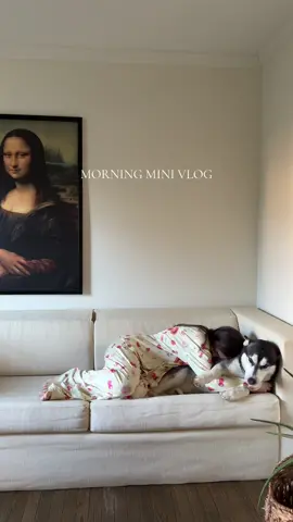 Mini morning vlog ⛅️🫶🏻🌸  #minivlog #morningvlog #petfam #lifewithpets 