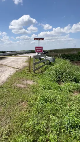 🐊🐊🐊🐊🐊Look at how huge the alligators are! 😂 #hugegators #gigantic #alligators #gatorcountry #closed #caution 