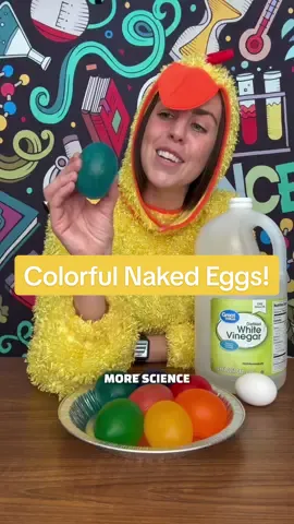 Colorful Naked Eggs! #eggsperiment #easter #science #scienceteacher #scienceexperiment #scienceforkids #rubberegg #osmosis #stem #nowyouknow #mrsbtv #LearnOnTikTok 