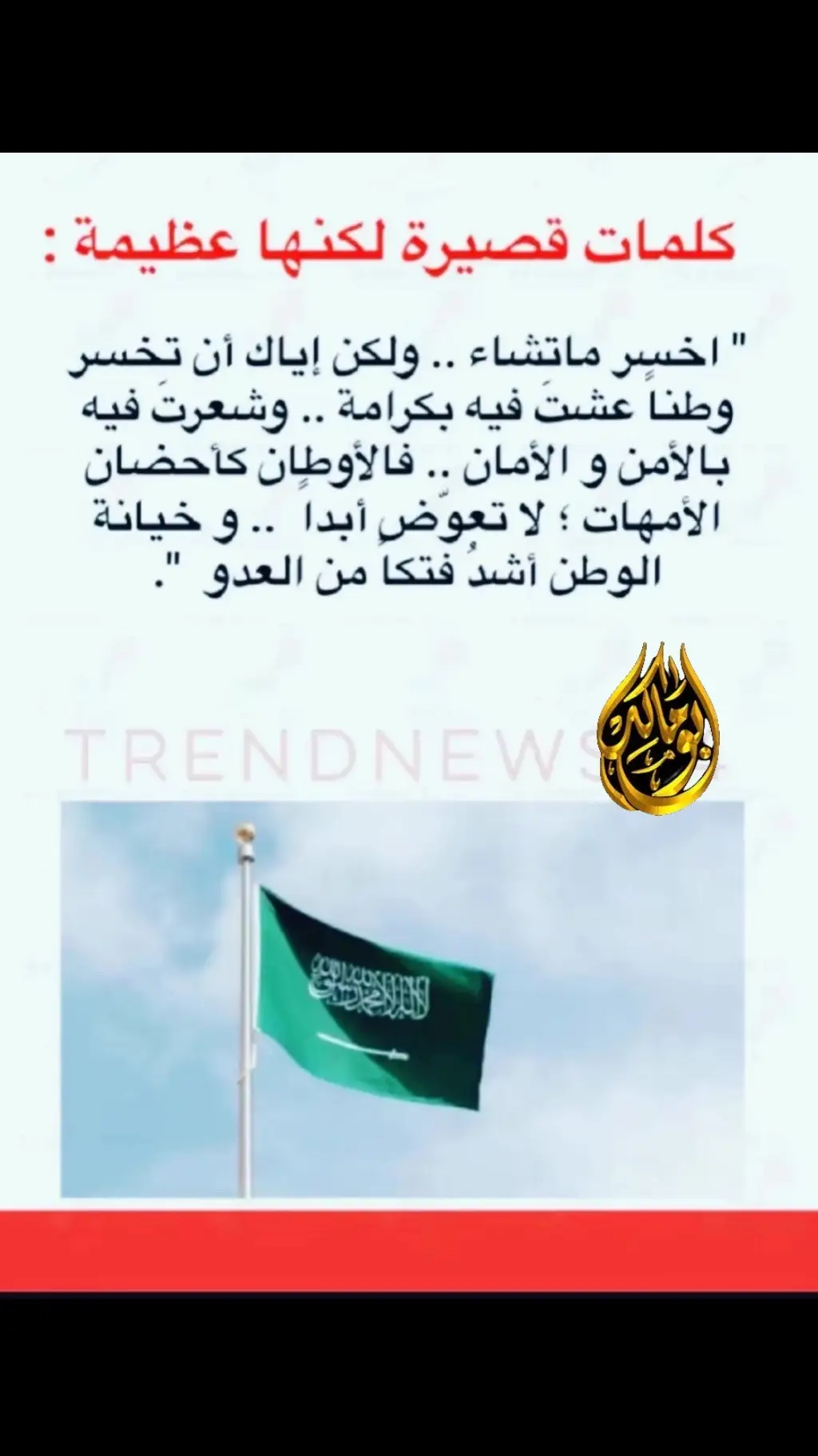 #السعودية_العظمى #🇸🇦 