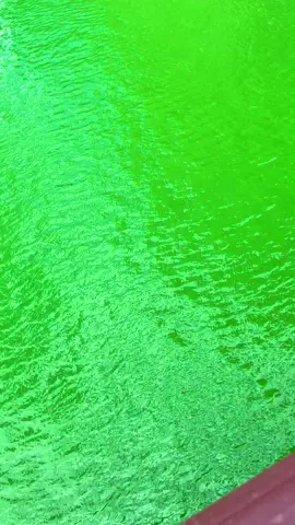 Doing Press and the River is still Green! 🍀 