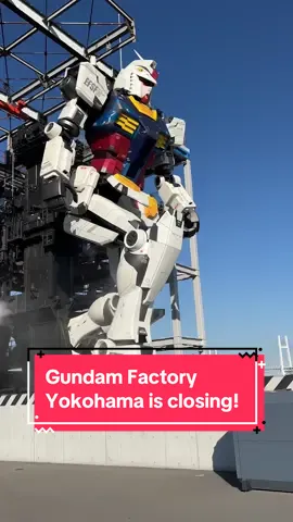 Just a few more weeks until Japan loses its moving Gundam and it gains its freedom to go back into space. Last chance to head over to #gundamfactoryokohama! #animefyp #anitrendz 