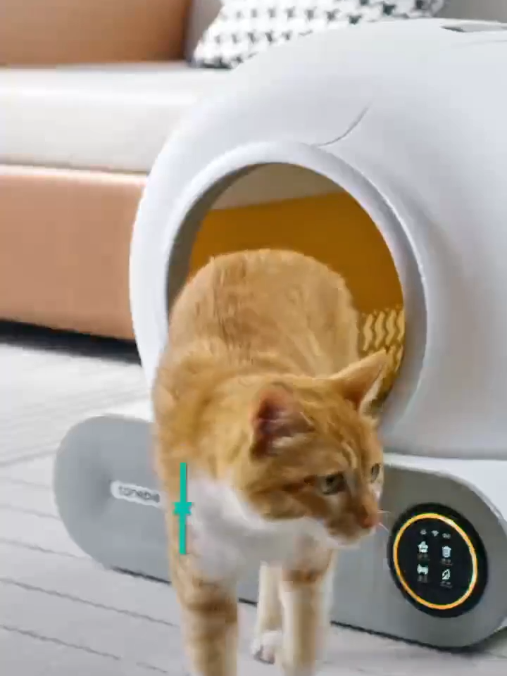 Tonepie Automatic Smart Cat Litter Box Self Cleaning App Control Large Cat Toilet 65L Areneros Para Gato English Version Gatos #PetsOfTikTok #petaccessories #petlover #catsoftiktok #cutecatsoftiktok #funnycats