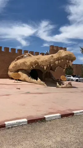Crocoparc Agadir 📍: crocodiles, snakes & other reptiles featuring #agadir #crocoparc #parc #snakes #crocodile #marokko #vibes #أكادير #maruecos🇲🇦españa🇪🇸 #maroco🇲🇦algeria🇩🇿tunisia🇹🇳 #2025 #viral #fyp #morocco🇲🇦المغاربة #holidays #weekend #bucketlist #travel #visit #marrakech #Rif #tourismemaroc #kingdom #cascade #tours #grandtour #maruecos 