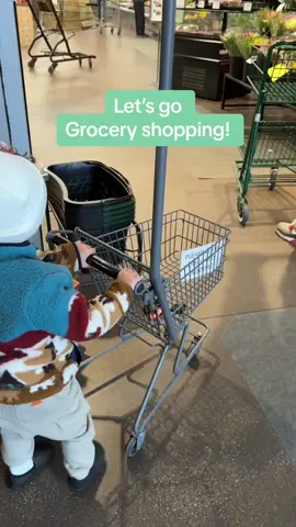 The cutest little helper 💙  #groceryshopping #MomsofTikTok #momtok #shopping #motherhood #shopwithme #motherhoodunfiltered #groceryhaul #grocerystore #Vlog 