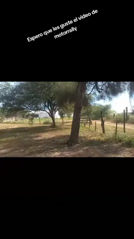 Esto Fue el Sabado😎
