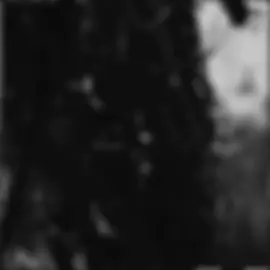 Sad Lovers & Giants é uma banda britânica de post-punk e rock alternativo conhecida por sua música melancólica e letras introspectivas. Surgiram nos anos 80 e mantêm uma base de fãs fiéis até hoje. #postpunk #pospunk #goth #sadloversandgiants #gotico 