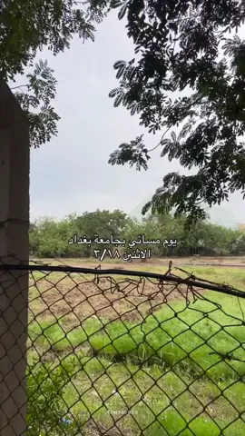 يوم بسيط 🤍🫶🏻 #جامعة_بغداد #بغداد #اكسبلور #اكسبلورexplore #كلية_العلوم #مسائي #مطر #رمضان #الشعب_الصيني_ماله_حل😂😂 #العراق #السعودية 