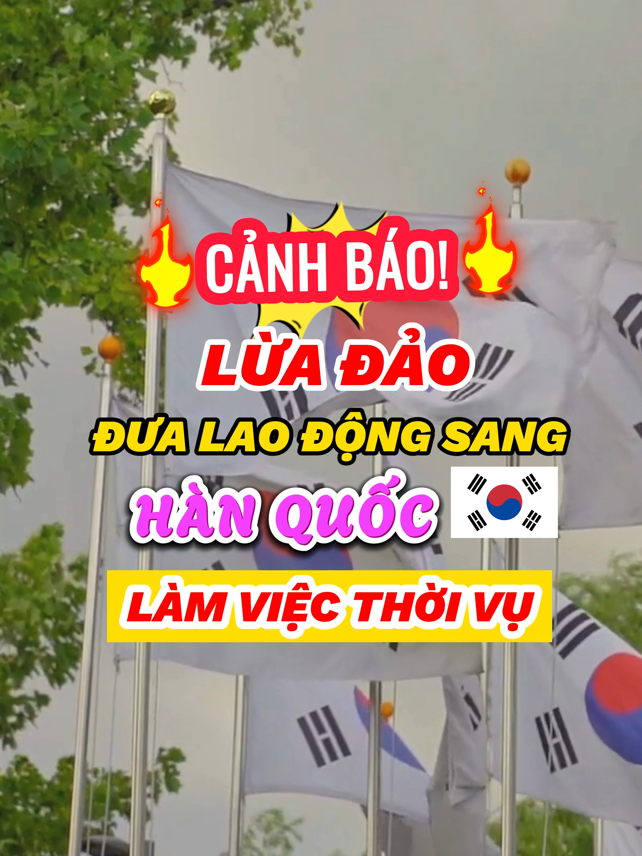 CẢNH GIÁC chiêu trò lừa đảo người dân đi lao động thời vụ Hàn Quốc. #hanquoc #korea #visa #xkld #laodongthoivu #xkldhanquoc #vieclamhanquoc #xuhuong