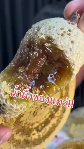 น้ำผึ้งยั่วๆจ้าา #นายโอ๋โมโหหิว #กินคําโป่มๆ #คําตาสวด #น้ำผึ้ง @พิมพ์ผกา น้ำผึ้งสด #asmr #eat #honeycomb #honey 