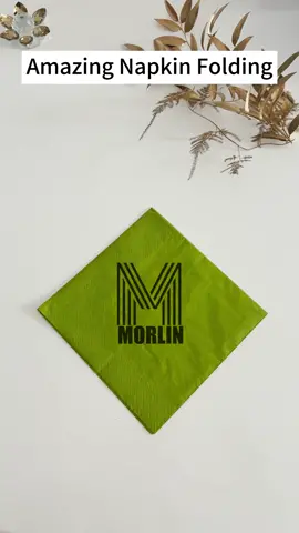 The Amazing Napkin Folding Guide3 Follow me to learn more decorating hacks Click the link to get the same napkin! #napkin #decorating  #lifehacks #DIY 