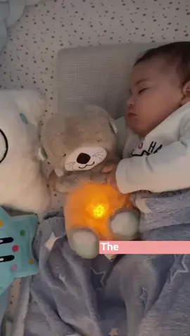 Breathin Baby Bear 🧸 The Perfect Sleeping companion for your baby / Pet is here! Comfort your baby to promote a good night sleep🌟🧸 give the best for your baby today! Baby sleep comfort, baby relax sleep our cuddly friend is here to help your little ones drift off to dreamland. Say hello to sweet, peaceful nights! 🌙 #BreathingBear #SootheAndSleep #AustralianBabies