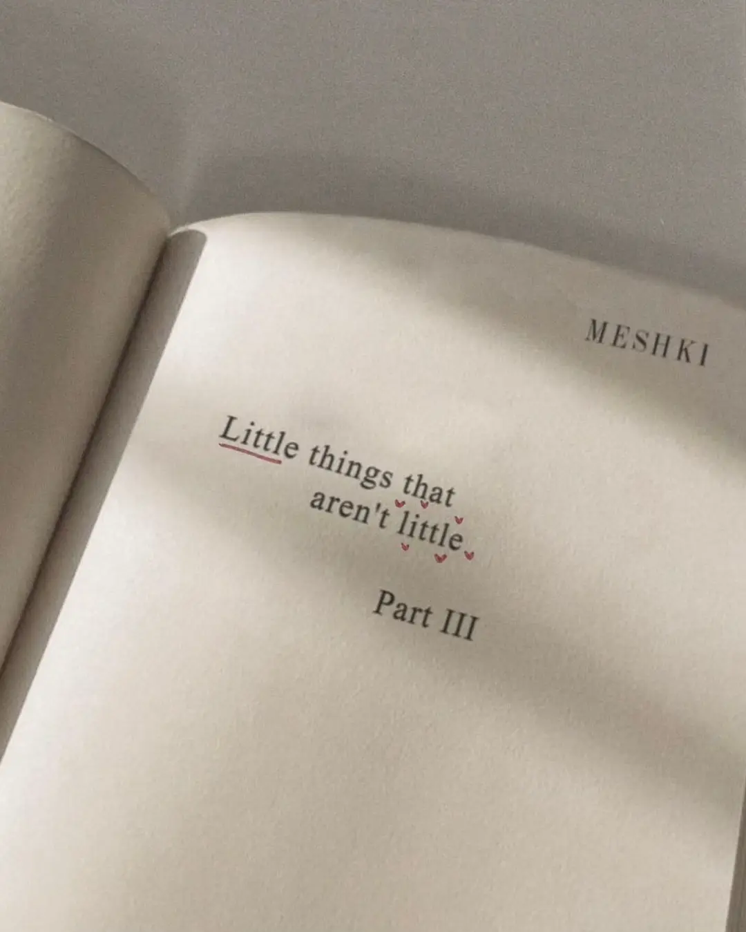 What are the little things that mean something to you? 💌 #MESHKI #littlethings #quotes #quotesaesthetic #BookTok #books #bookquotes 