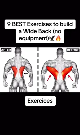 9 Best exercices to build a wide back no equipment #musculation #workout #dos #wideback #workoutvideo #back #backworkout 