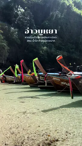 จองโปรแกรม 4 เกาะ มานั่งปิกนิกที่หาดนี้คือฟินนนนนน มาช่วงน้ำขึ้น กับช่วงเวชาเรือน้อยๆ จะสงบเป็นพิเศษ แนะนำเลยค่า #railayecotour #กระบี่ #tiktokพาเที่ยว 