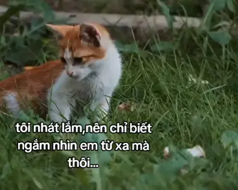 :< #canhdep #xuhuong #xh 