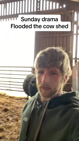 Farmer floods the cow shed #fyp #foryou #farmlife #fypシ 