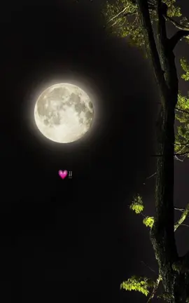 ese por quién te desvelas y te desesperas 💗#fypシ゚viral #tiktokhasmeviral #tiktok #parati #viral #pinchetiktokponmeenparati #foryoupageofficiall #fypシ #foryou1 