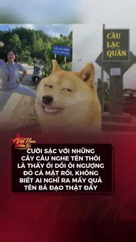 Cầu ồ ồ =)))))) #vietnamcuatoi #vnct #goldenstarmedia #gsm #doclavietnam #xuhuong 