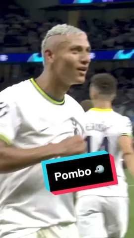 Pombo 🐦 #tottenhamhotspur #spurs #richarlison 