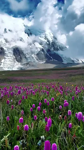 Tilicho Lake,Nepal🥰#tiktok #landscape #travel #scenery #beautifulscenery 