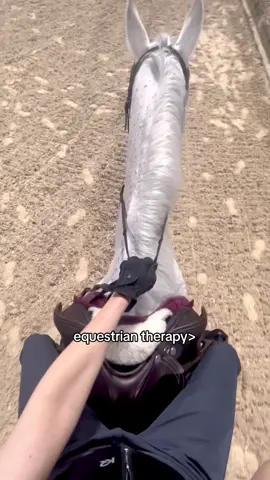 #equestrian #horse #fy #fypシ゚viral #foryou 