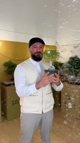 Meine Leidenschaft & Hingabe zur Natur, haben mich dazu bewegt meinen Mut zusammenzupacken & in Kürze einen Online-Store + begehbaren Showroom im Herzen Aachens zu eröffnen ! Mit @halfmoonbonsai (instagram) möchte ich neue Maßstäbe im Bereich Green-interior designing setzen & die Bonsai-Natur mit wunderschönen Pflanzenschalen kombinieren, um so neue Erlebnisse zu schaffen. Begleitet unsere Reise & abonniert schonmal den neuen insta-Channel
