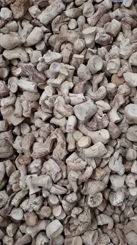# thực phẩm chay, #chân nấm đông cô