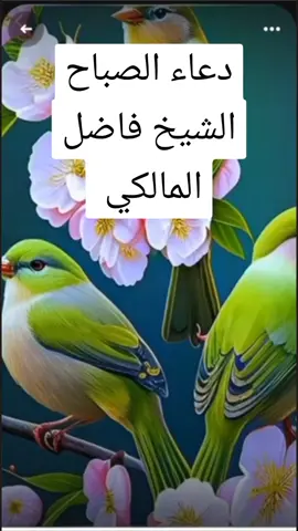 #دعاء#الصباح#الشيخ#فاصل#المالكي