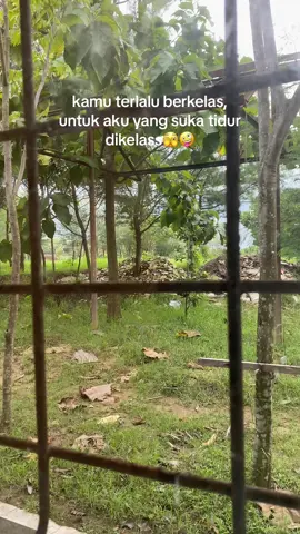 turu ne gaya opo mas?