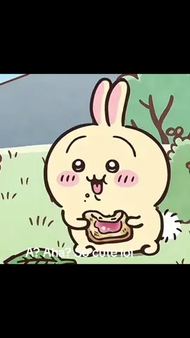 A?Aha? So cute lol #chiikawa #usagi #cute #ちいかわ #fyq #viral 