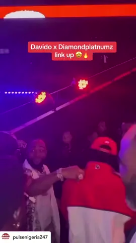 Davido x Diamondplatnumz link up 🤩🔥 #PulseCelebs #pulsenigeria #tiktoknigeria 