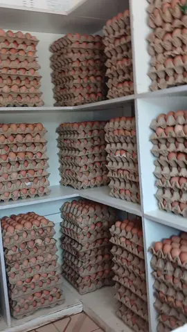 #eggs #kisumutiktoker 