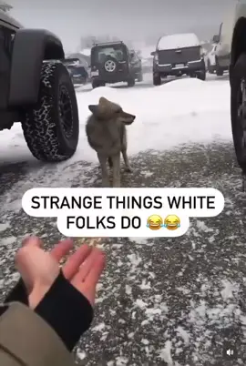 Would you do this?
