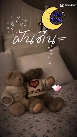 #ฝันดีฮับ💤 #learningontikto #ลงสตรอรี่ได้ #เพื่อนหมี🐻 #ไร้ตัวตน🥀 @เพื่อนหมี @🇹🇭✈🌴.TukTun.🌴✈🇹🇭 