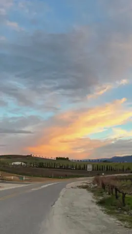 cotton candy skies  #sunsets #sunrise #aesthetic #Summer #landscape #earth 