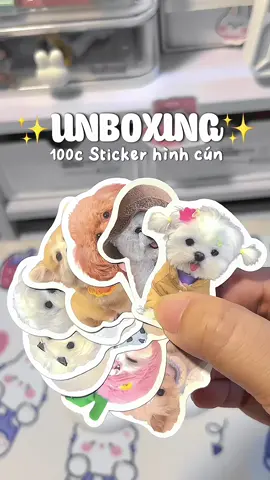 So ciuuuu #stickercun #stickercute #unbox #unboxing #trend #fyp #viral ##LearnOnTikTok##unboxwithThang