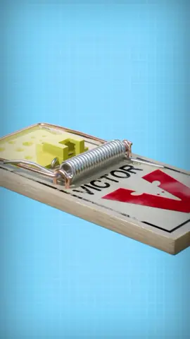 How A Mouse Trap Works 😲 