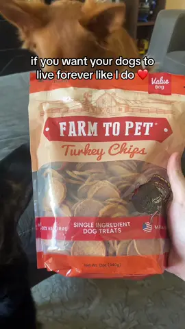 Single ingredient turkey treat from @Farm to Pet  review 🦃🐾🐶 Definitely go grab a bag for your dog they are awesome! 