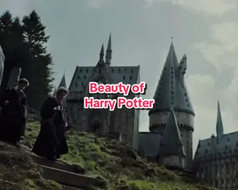 The beauty of Harry Potter⚡️ #harrypotter #hogwarts #prisonerofazkaban #deathlyhalllows #wizardingworld #movie #timotheechalamet #fyp #foryou #trending 
