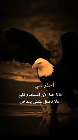 #عبارات #كلمات #قويه 
