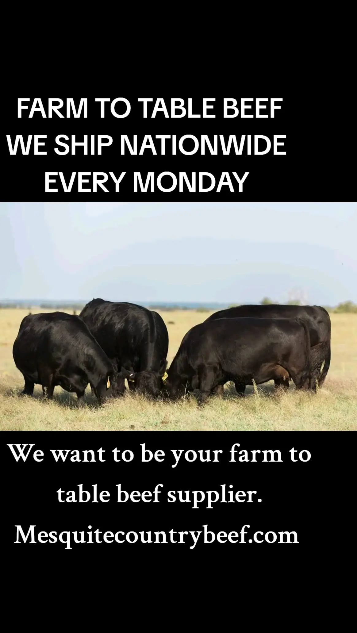 FARM TO TABLE BEEF.  Mesquitecountrybeef.com  #foryou #foryoupage #steak #fyp #betterbeef #farmtotable #tiktok #upgradeyourbeef #cookingathometiktoktv #tiktokmademebuyit #rancher #buyonline #beefswhatsfordinner 