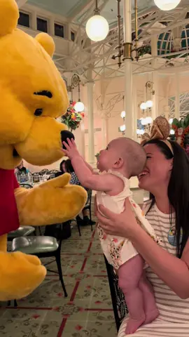 Take. The. Trip 🤍✈️  #disney #disneyworld #travel #traveltiktok #crystalpalace #winniethepooh #disneycharacters #characterdining #travelingwithkids #waltdisneyworld @Disney Parks @Disney @disneyworld 